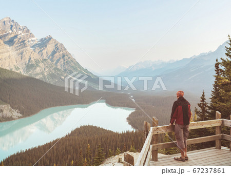 Peyto lake Peyto lake 67237861