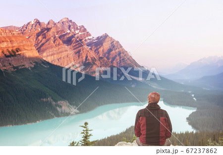 Peyto lake Peyto lake 67237862