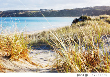 New Zealand coast 67237880