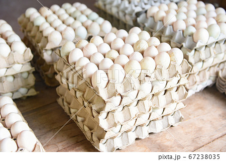 Produce eggs in the farm organic - Fresh eggs 67238035