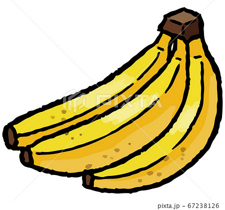 バナナの手描きベクターイラストのイラスト素材