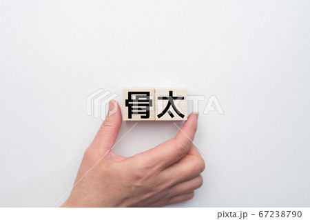 イメージ 骨太 イメージ 骨太 67238790