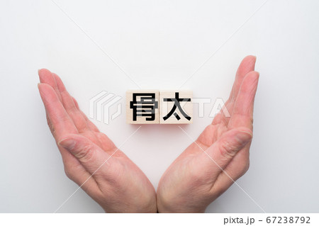 イメージ　骨太 67238792