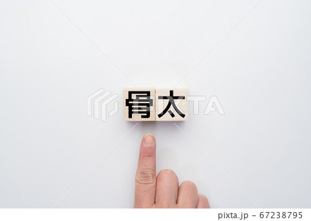 イメージ　骨太 67238795