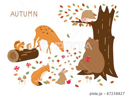 秋 動物 イラストのイラスト素材