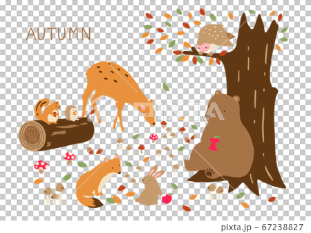Autumn animal illustration 67238827