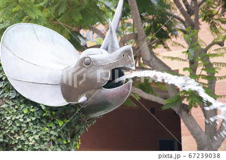 トリケラトプスのディスプレイ 67239038