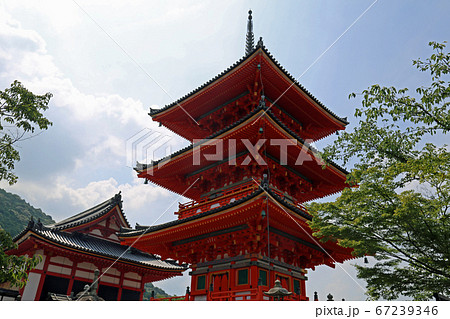 初夏の清水寺 初夏の清水寺 67239346
