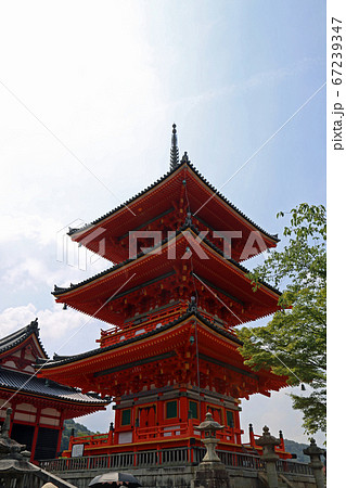 初夏の清水寺 67239347