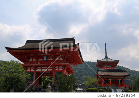 初夏の清水寺 67239354