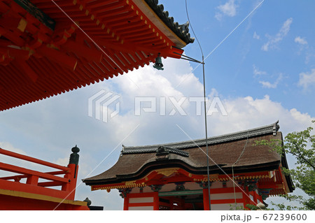初夏の清水寺 67239600