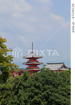 初夏の清水寺 初夏の清水寺 67240136