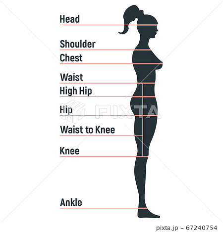Female size chart anatomy human character, people 67240754