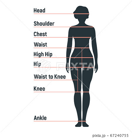 Female size chart anatomy human character, people 67240755