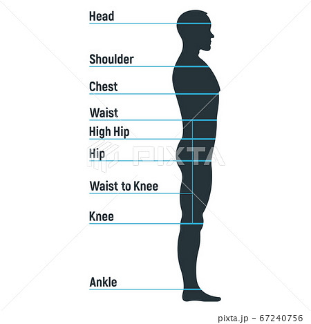 Male size chart anatomy human character, people 67240756