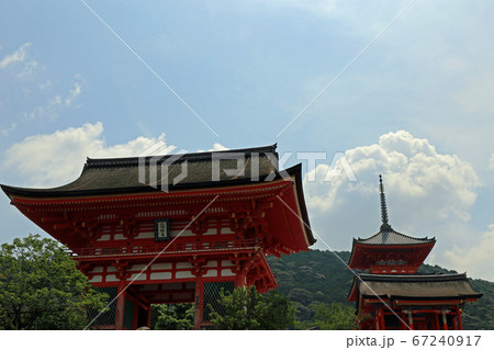 初夏の清水寺 67240917