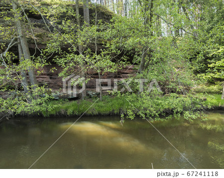 view over shallow river stream with grassy shore with lush green trees and rock in golden warm light. Late spring sunny afternoon, vibrant colors 67241118