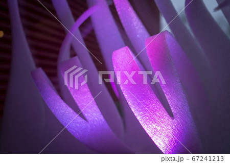 Violet abstract stripes on dark background Violet abstract stripes on dark background 67241213
