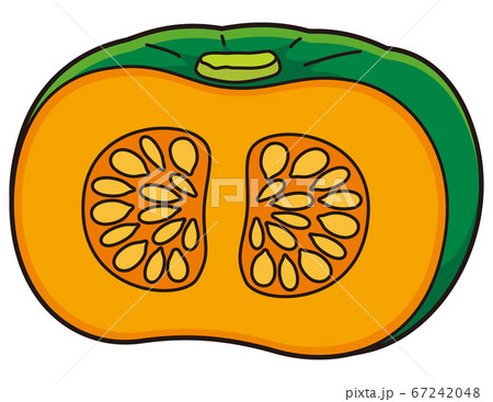 かぼちゃ1/2カット かぼちゃ1/2カット 67242048