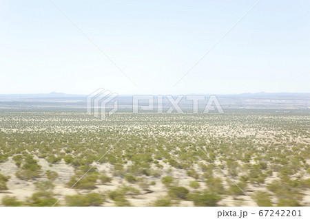 カリフォルニアの荒地 67242201