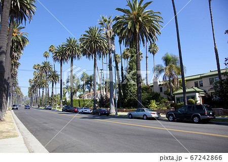 カリフォルニア 67242866