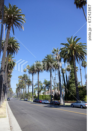 カリフォルニア 67242867