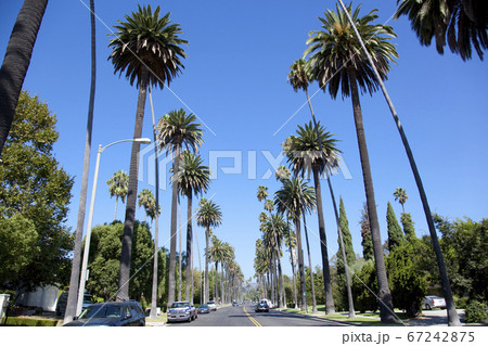 カリフォルニア 67242875