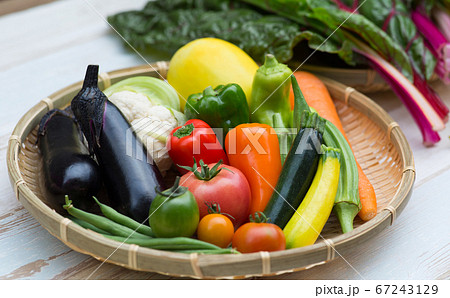 色々な種類の夏野菜 67243129