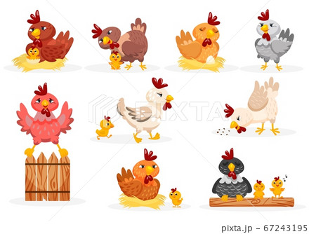 Hen and chicks set Hen and chicks set 67243195