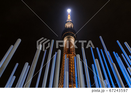 東京スカイツリー 織ライトアップを小梅児童遊園から望む 東京スカイツリー 織ライトアップを小梅児童遊園から望む 67243597