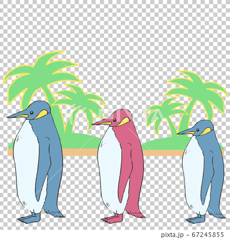 3匹のペンギンとヤシの木のイラストのイラスト素材