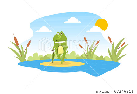 Green Funny Frog Standing with Umbrella on Leaf in Pond, Cute Amphibian Creature Character Posing on Lily Pad Cartoon Vector Illustration Green Funny Frog Standing with Umbrella on Leaf in Pond, Cute Amphibian Creature Character Posing on Lily Pad Cartoon Vector Illustration 67246811