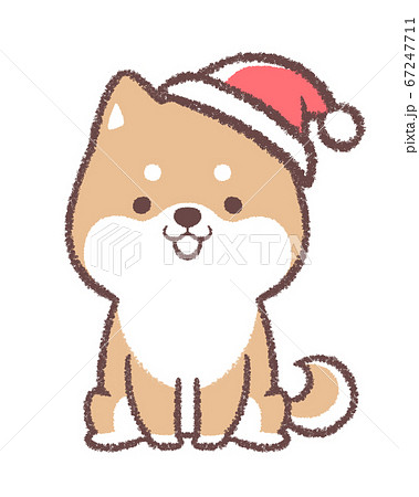 クリスマス帽子をかぶる柴犬 67247711