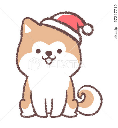 クリスマス帽子をかぶる秋田犬 67247719