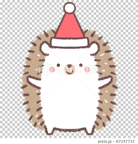 クリスマス帽子をかぶるハリネズミ クリスマス帽子をかぶるハリネズミ 67247732