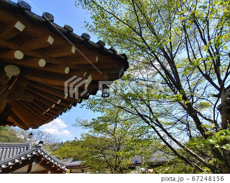 風景 韓国の風景 韓屋 67248156