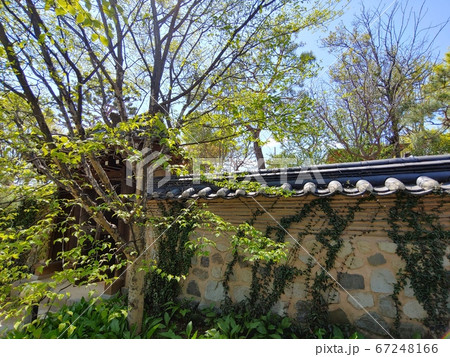 風景 韓国の風景 韓屋 67248166