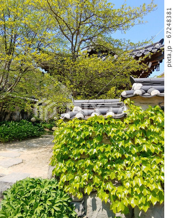 風景 韓国の風景 韓屋 67248381