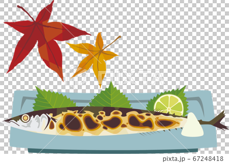 Salt-grilled saury 67248418