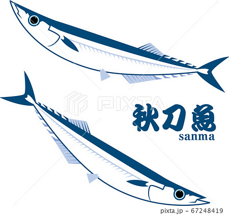 サンマ二匹のイラスト素材