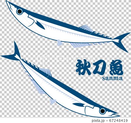 秋刀魚 67248419