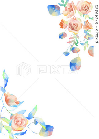 優しいタッチの薔薇フレーム 67249381