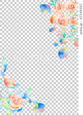 優しいタッチの薔薇フレーム 67249381