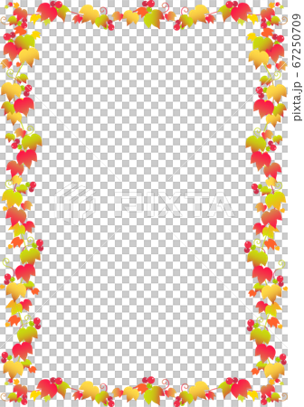 框架常春藤 67250709