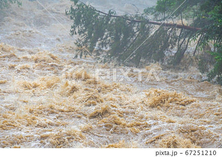 濁流　大雨の後の川　【長野県】 67251210