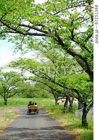 足こぎカートに乗る観光客 足こぎカートに乗る観光客 67251368