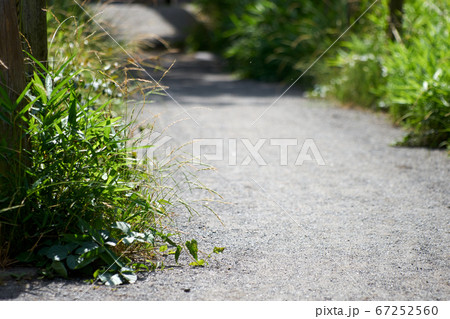 田舎の小道・足元・アップ 67252560