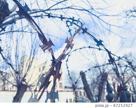 Iron metal sharp dangerous protective barbed 67252927