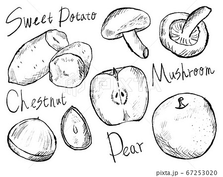 秋の食べ物や旬の食べ物の白黒手書きイラストイメージのイラスト素材