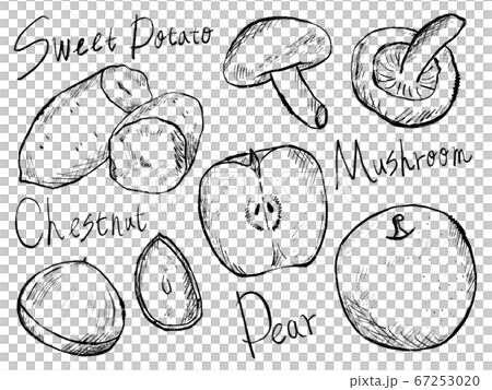 秋の食べ物や旬の食べ物の白黒手書きイラストイメージのイラスト素材